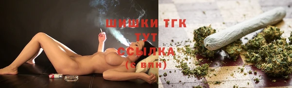 индика Абинск